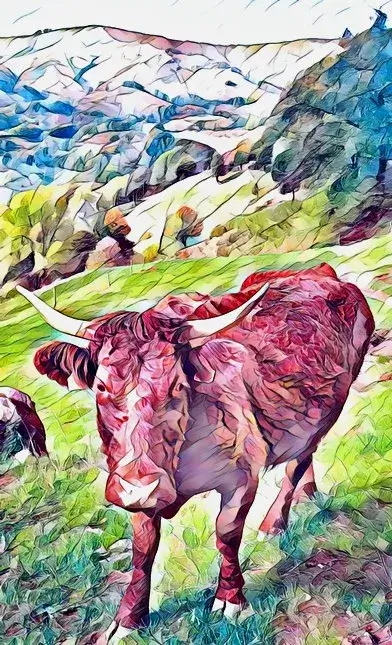 Vache Laumiers